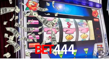 Experiência VIP bet444